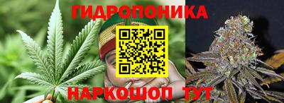 каннабис Гусев